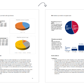 Pie Chart Makeover: Transforming a Research Report